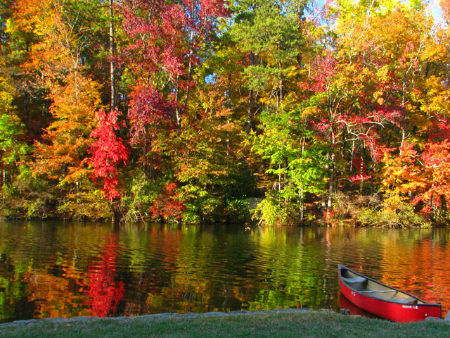 Fall leaves, Lake in South Carolina