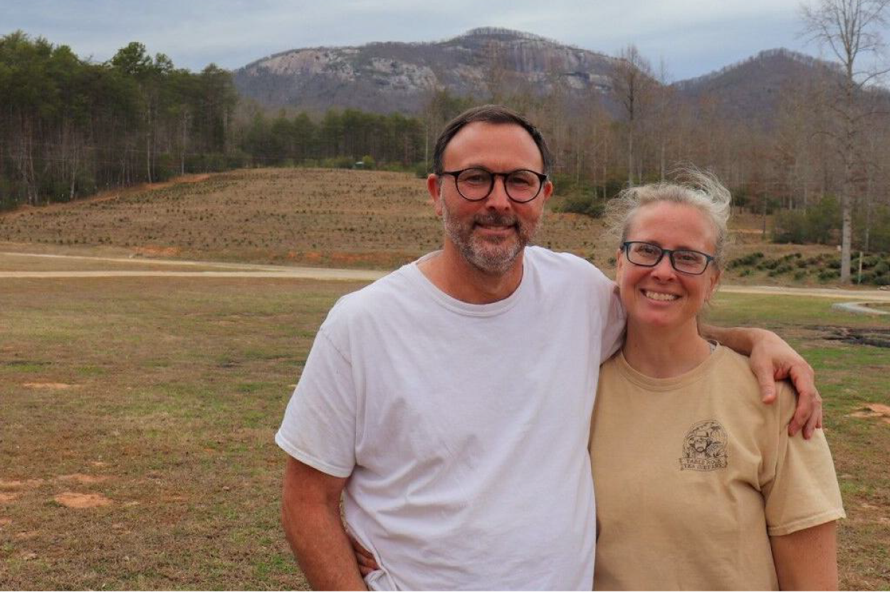 Tour a Tea Farm in Pickens, South Carolina Move Upstate SC
