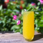 Mocktails in Greenville