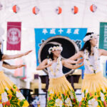 International festival in Greenville
