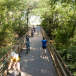Travelers Rest Swamp Rabbit Trail