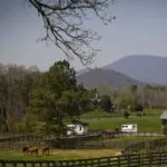 Landrum SC